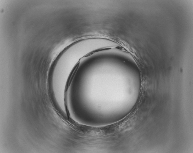 X0000089430248200706291321