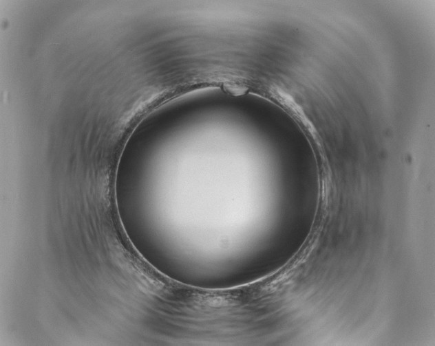 X0000089430249200706291321