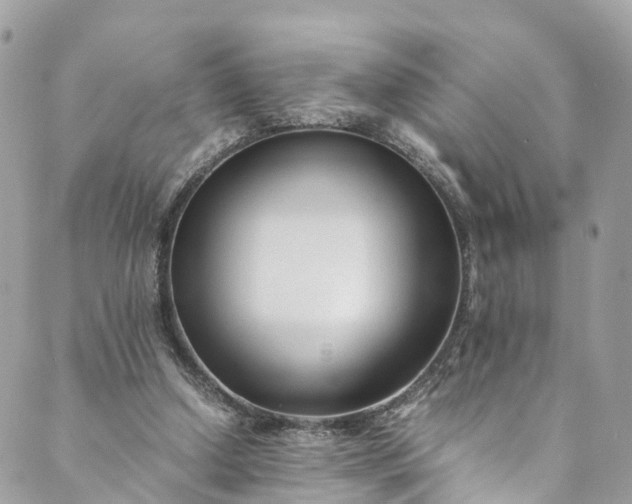 X0000089430250200706291321