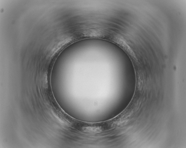 X0000089430251200706291321