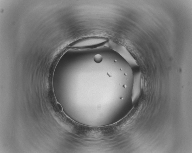 X0000089430252200706291321