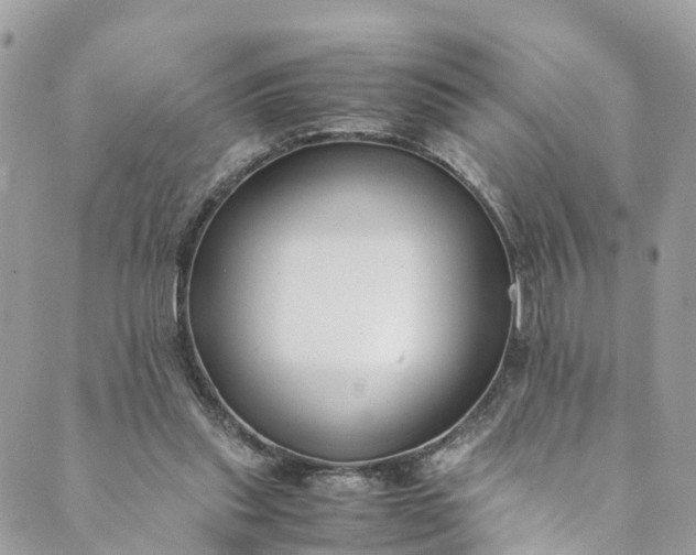 X0000089430253200706291321