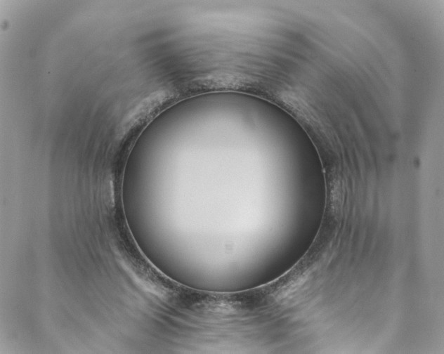 X0000089430254200706291321