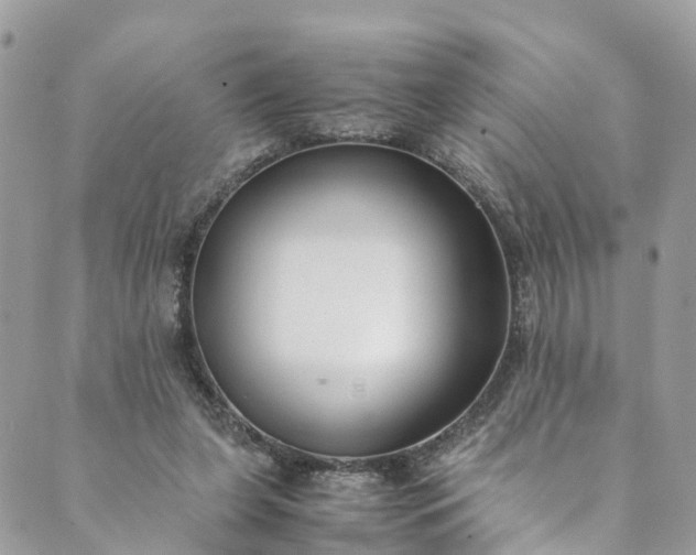 X0000089430255200706291321