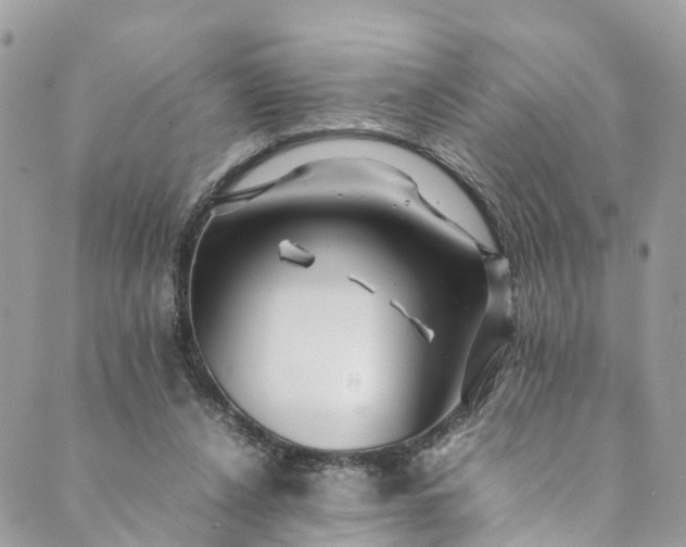 X0000089430256200706291321