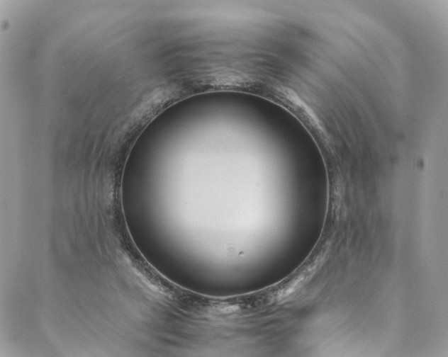 X0000089430257200706291321