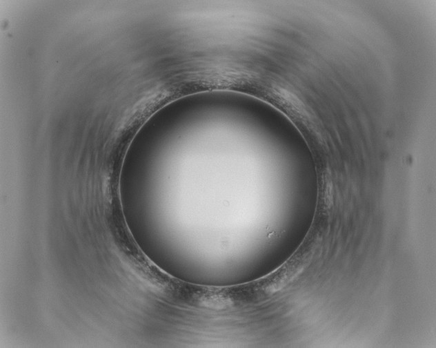 X0000089430258200706291321