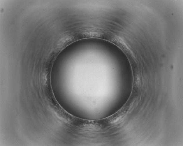 X0000089430259200706291321