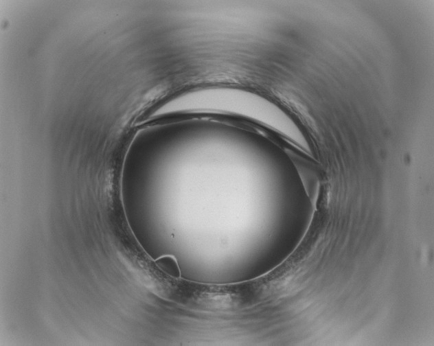 X0000089430260200706291321