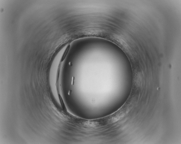 X0000089430261200706291321