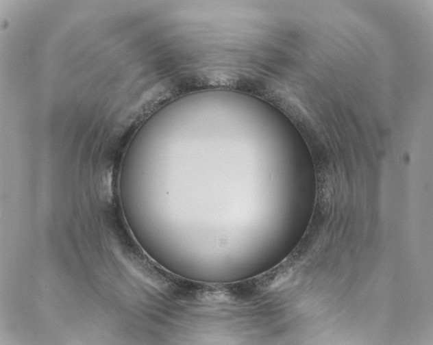 X0000089430262200706291321