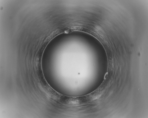 X0000089430263200706291321