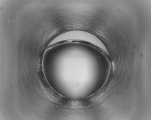 X0000089430264200706291321