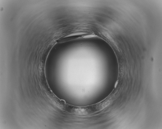 X0000089430265200706291321