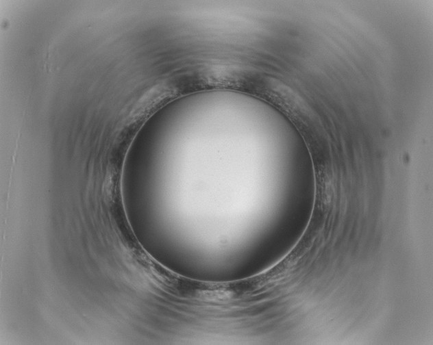 X0000089430266200706291321