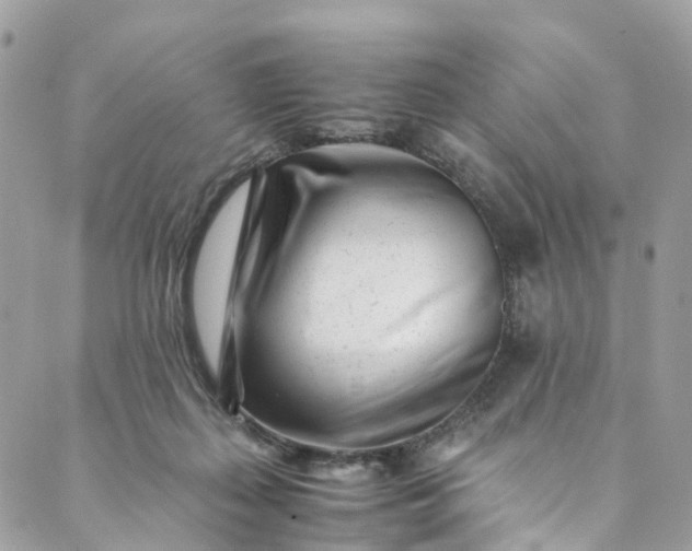 X0000089430267200706291321