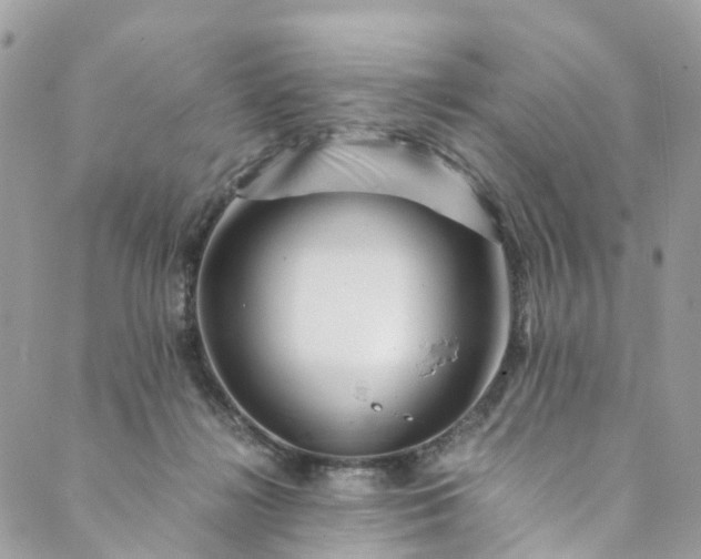 X0000089430268200706291321