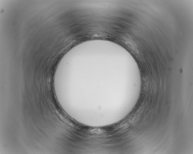 X0000089430269200706291321