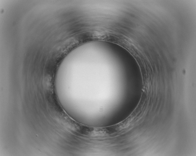 X0000089430270200706291321