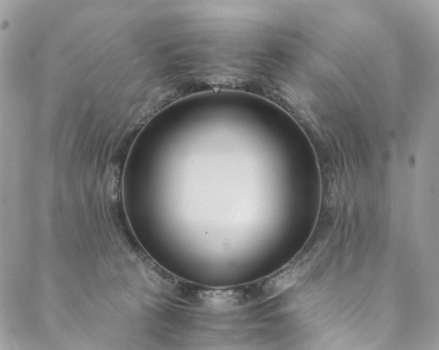 X0000089430273200706291321