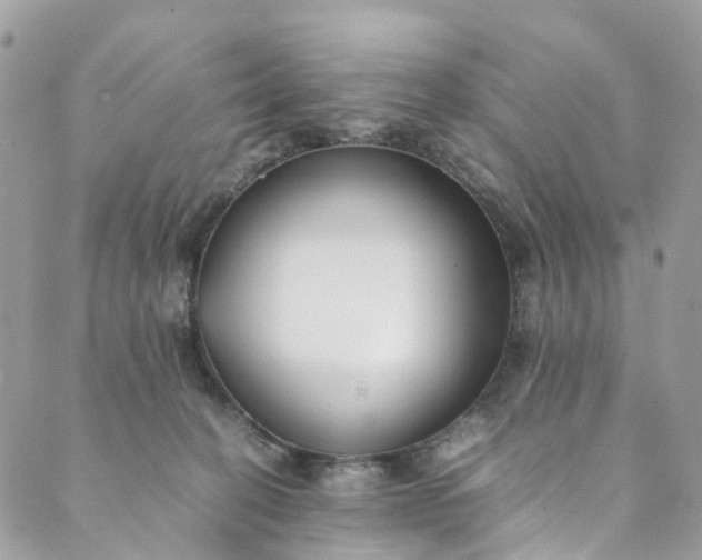 X0000089430274200706291322