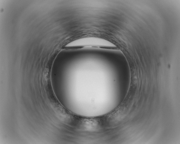 X0000089430275200706291322