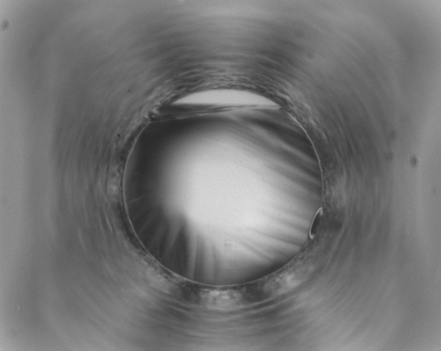 X0000089430277200706291322