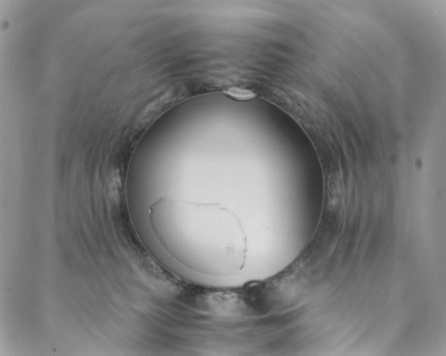 X0000089430279200706291322