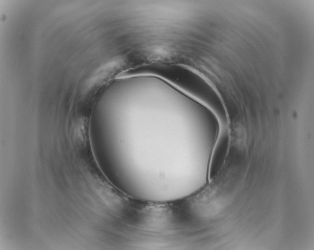 X0000089430280200706291322