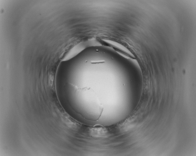 X0000089430281200706291322