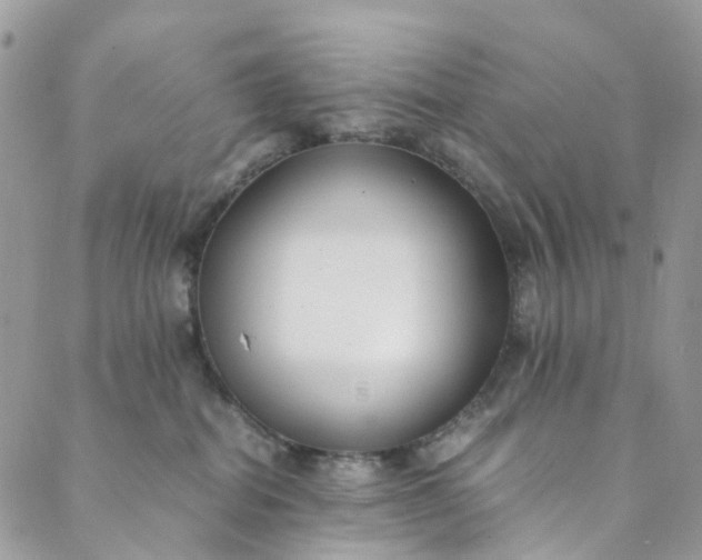 X0000089430282200706291322