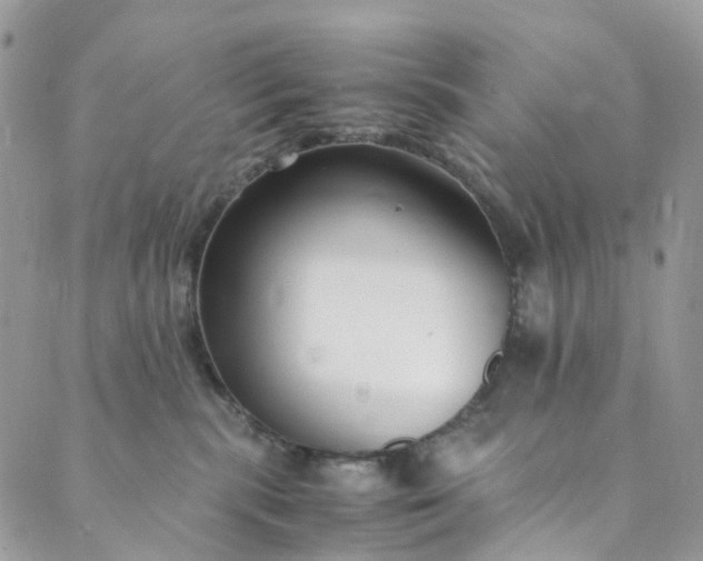 X0000089430283200706291322