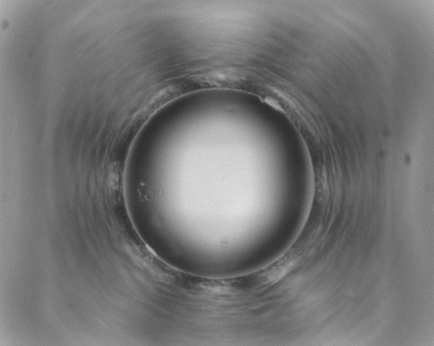 X0000089430284200706291322