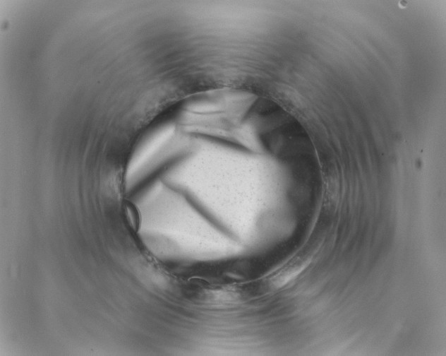 X0000089430286200706291322