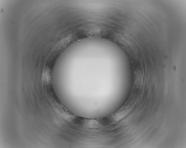 X0000089430287200706291322