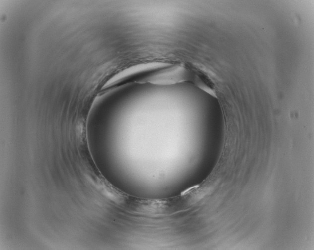 X0000089430288200706291322