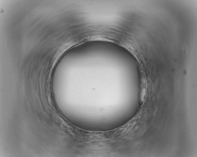 X0000089430289200706291321