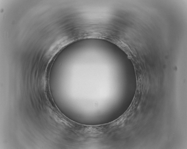 X0000089430290200706291321