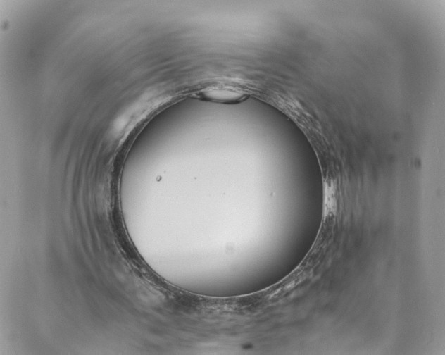 X0000089430291200706291321