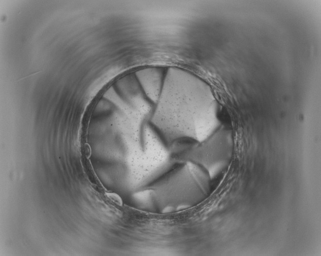 X0000089430292200706291321