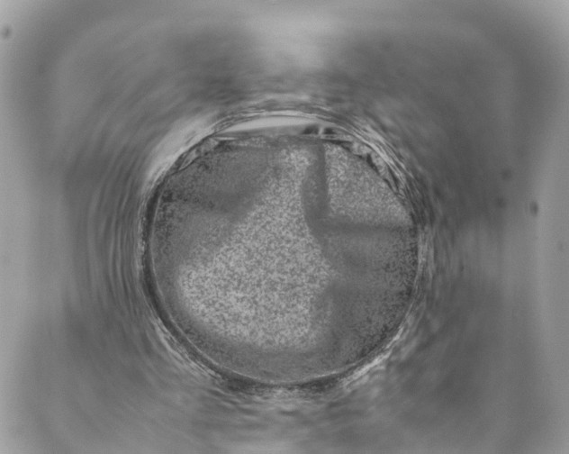 X0000089430293200706291321