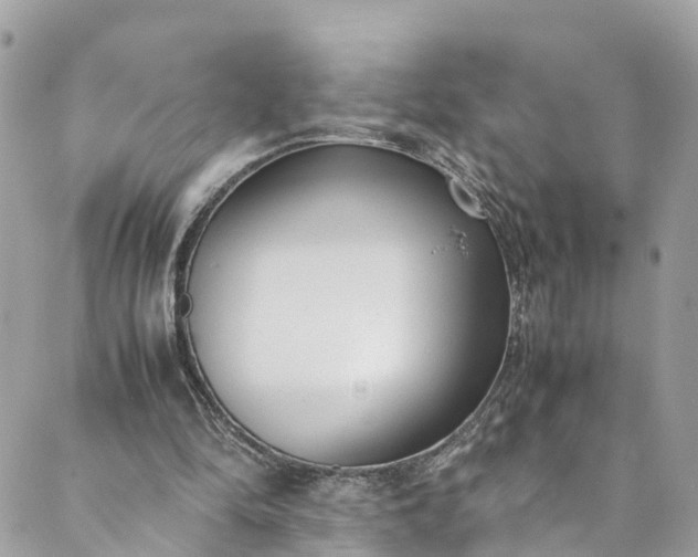 X0000089430294200706291321