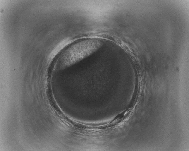 X0000089430295200706291321