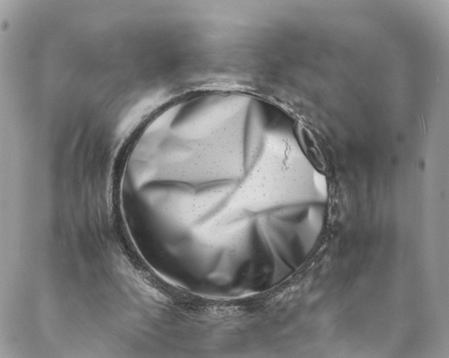 X0000089430296200706291321