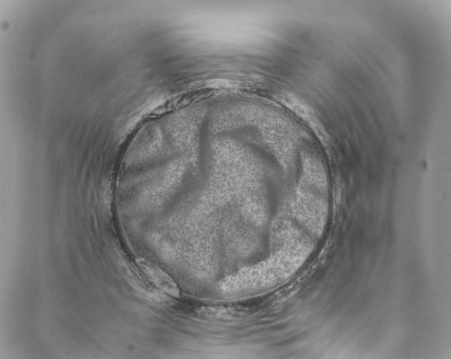 X0000089430297200706291321