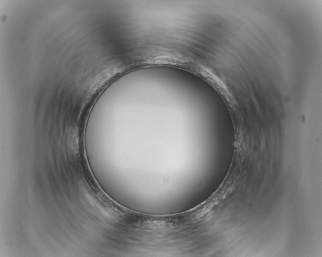 X0000089430298200706291321