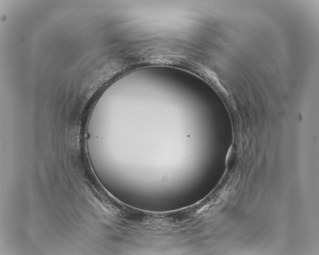 X0000089430299200706291321