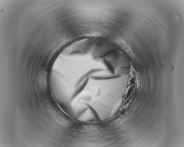 X0000089430300200706291321