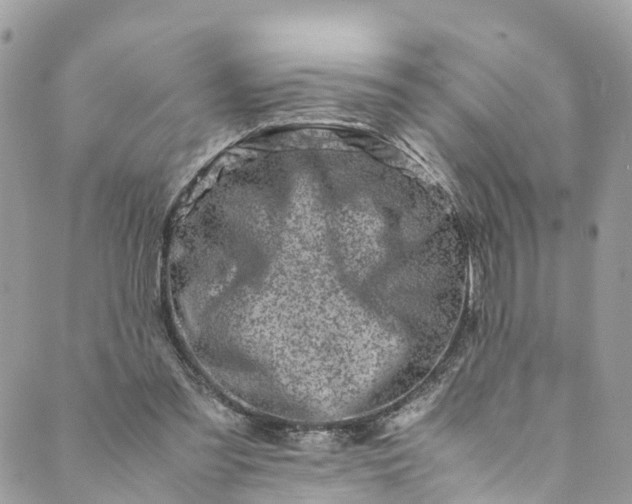 X0000089430301200706291321