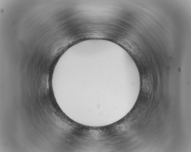 X0000089430302200706291321